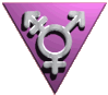 TransGendeRing homepage