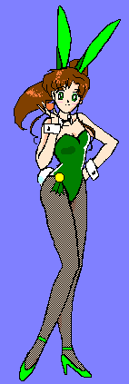 Sailor Jupiter: Bunny Suit Collection