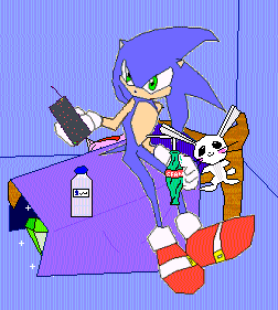 Sonic's Room